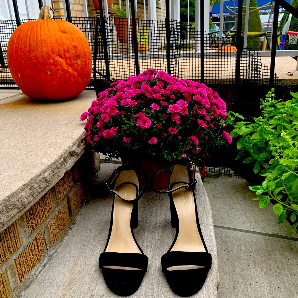 Ann Taylor Suede Block Heel Sandals size 9 NEW